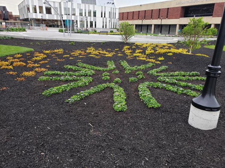 Metro Campus Landscaping, Community Circle